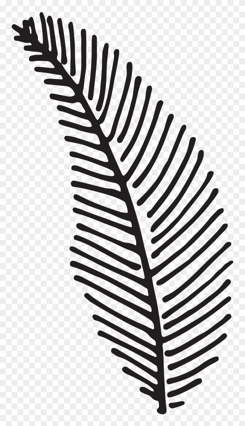 Kayla And Chris Fern Forest Nature Center Weddingwedding - Fern Clipart #1192098