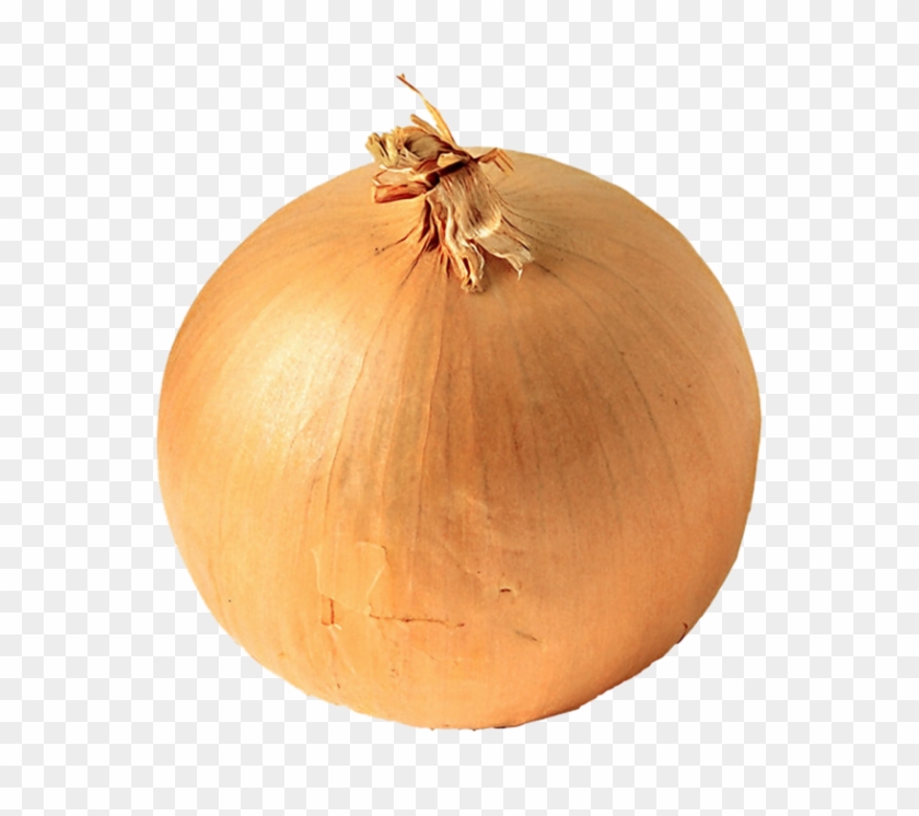Onion Png Free Download - White Onion Clipart