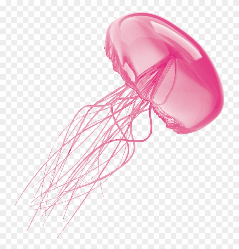 Jellyfish Transparent Background - Transparent Background Jellyfish Transparent Clipart #1193407