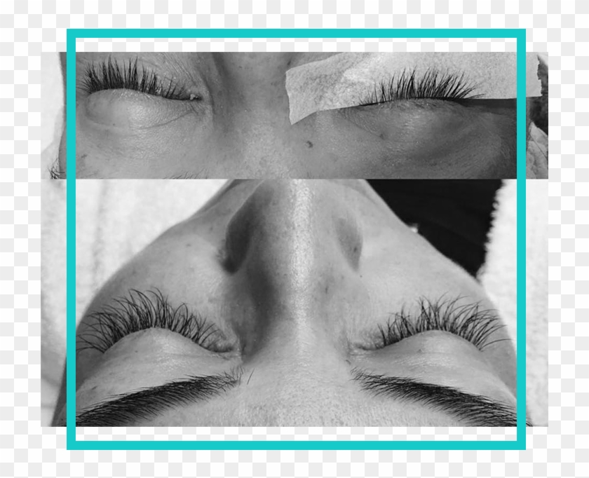 Eyebrows & Lashes - Close-up Clipart