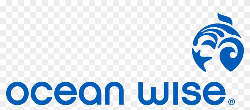 Graphic Design Clipart