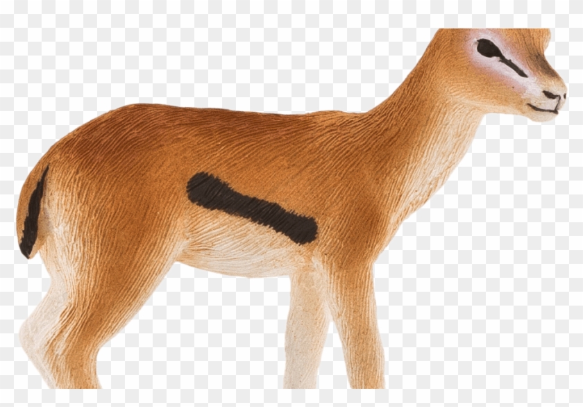 Download Gazelle Transparent Background Hq Png Image - Transparent Background Gazelle Drawing Clipart