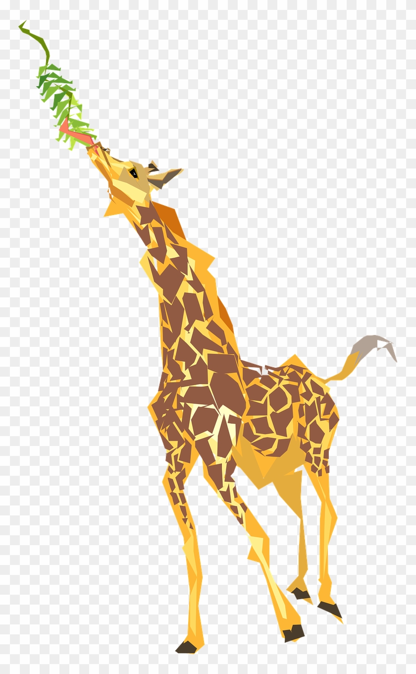 Giraffe, Eating, Long, Neck, Tongue, Wildlife, Africa - Giraffe Eating Leaves Cartoon Clipart #1196539