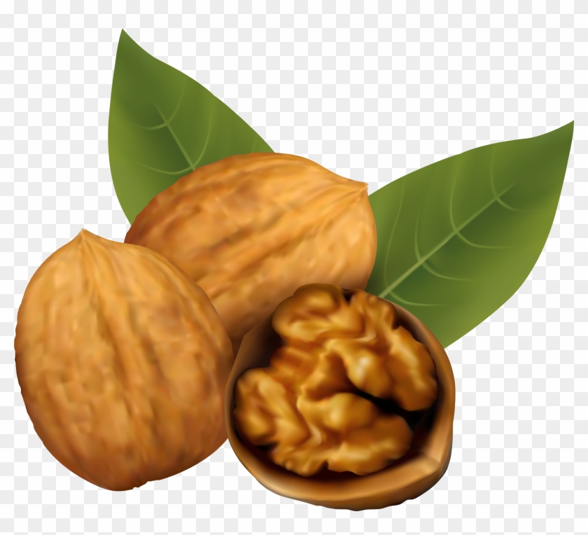 Walnuts Png Clipart Image - Walnut Clipart Transparent Png