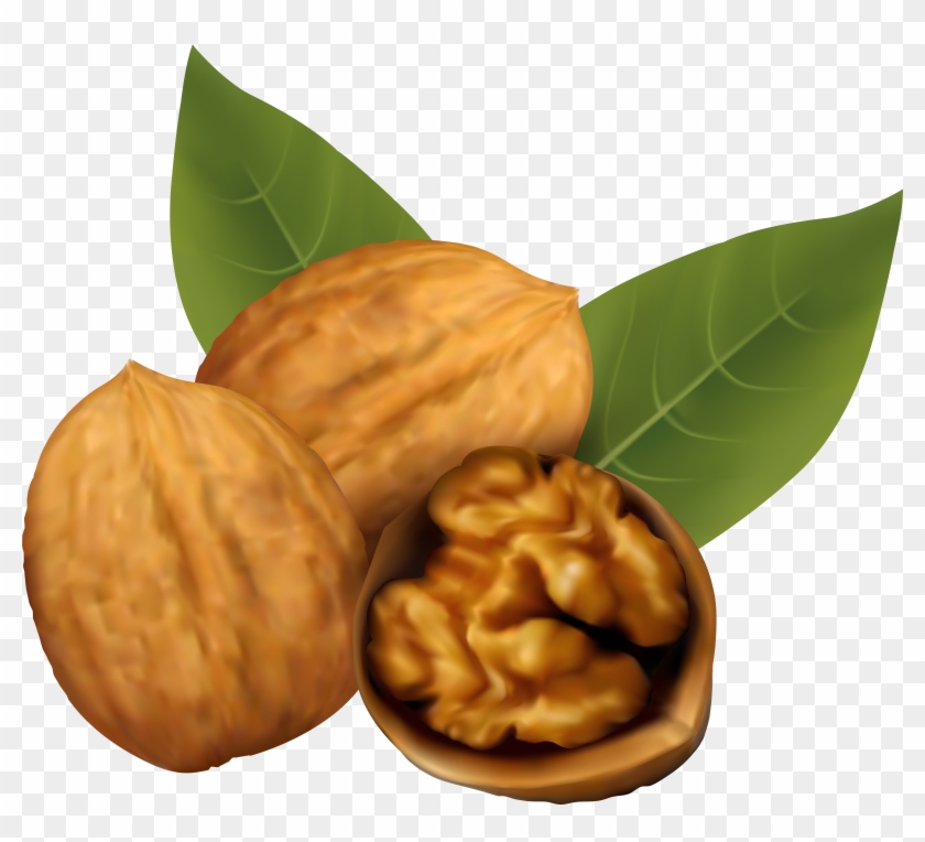 Walnuts Png Clipart Image - Walnut Clipart Transparent Png #1197781