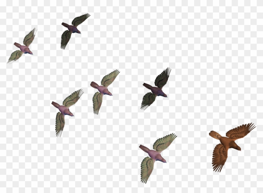 Flying Birds Png - Transparent Birds Flying Clipart #1198244