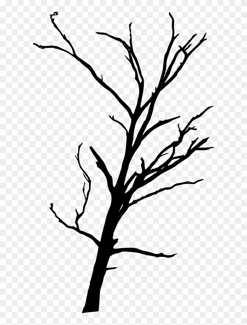 Free Download - Transparent Tree Silhouette Easy Clipart #1198559