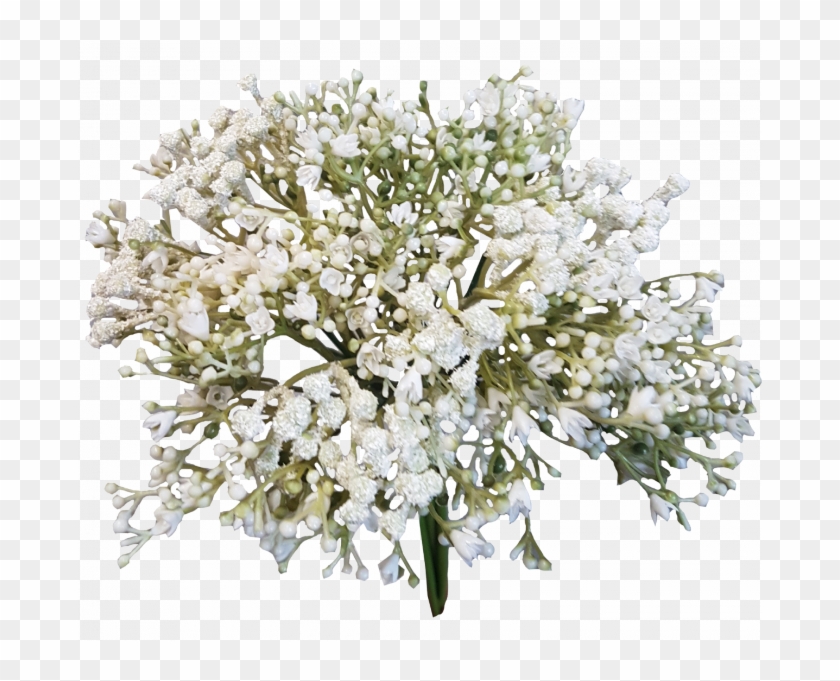 Baby Breath Flower Png Clipart #120076