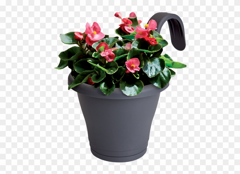 Box Contains - Flowerpot Clipart #120390
