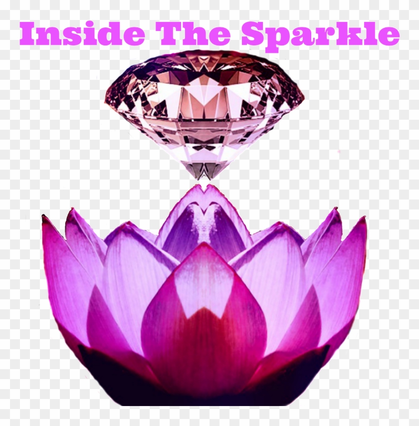 Water Lily Clipart #120606