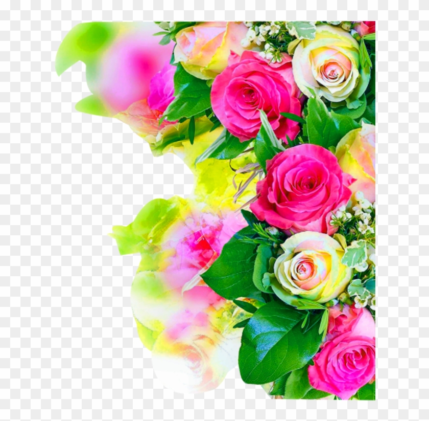 Rose Flower Background Hd-free Download Png - New Flowers Background Hd Clipart