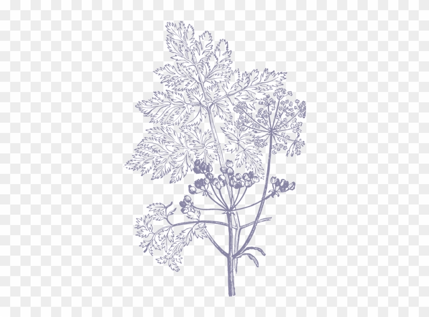 39 Plant & Flower Illustrations Vol - Flower Illustration Black And White Png Clipart #122455