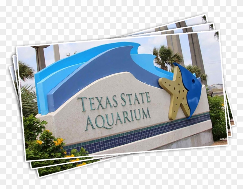 Texas State Aquarium - Acuario En San Antonio Texas Clipart
