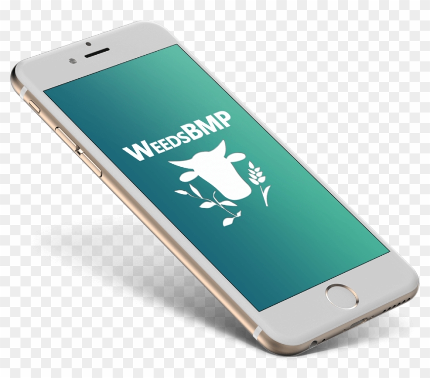 Floating Iphone Png Clipart #123560