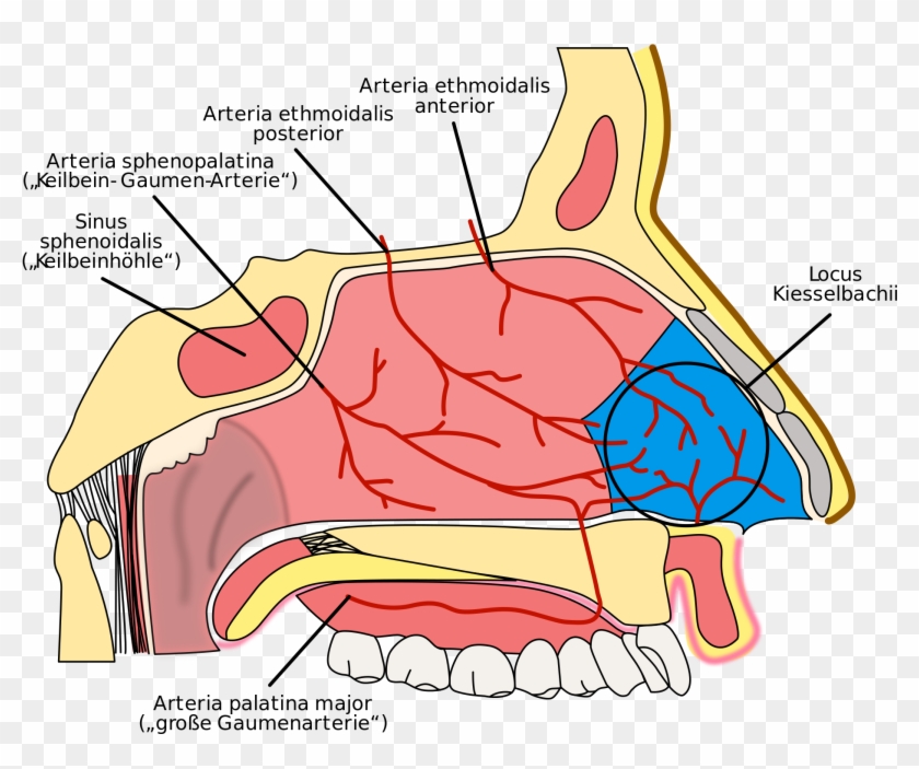 Open - Irrigacion De La Nariz Clipart