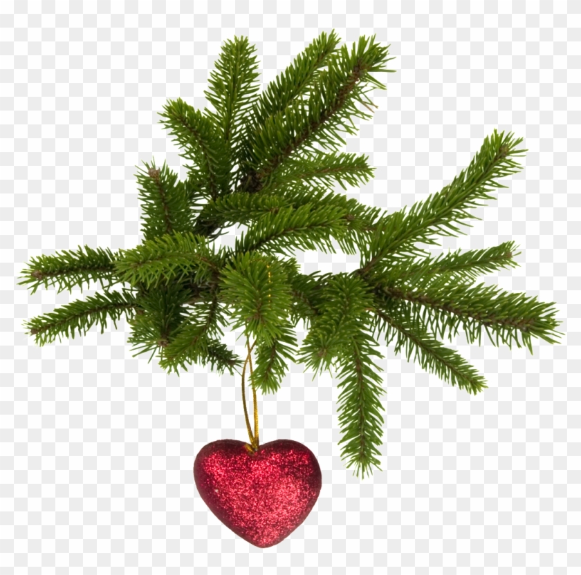 Christmas Tree Branch Decoration Vector - Christmas Tree Leaves Png Clipart
