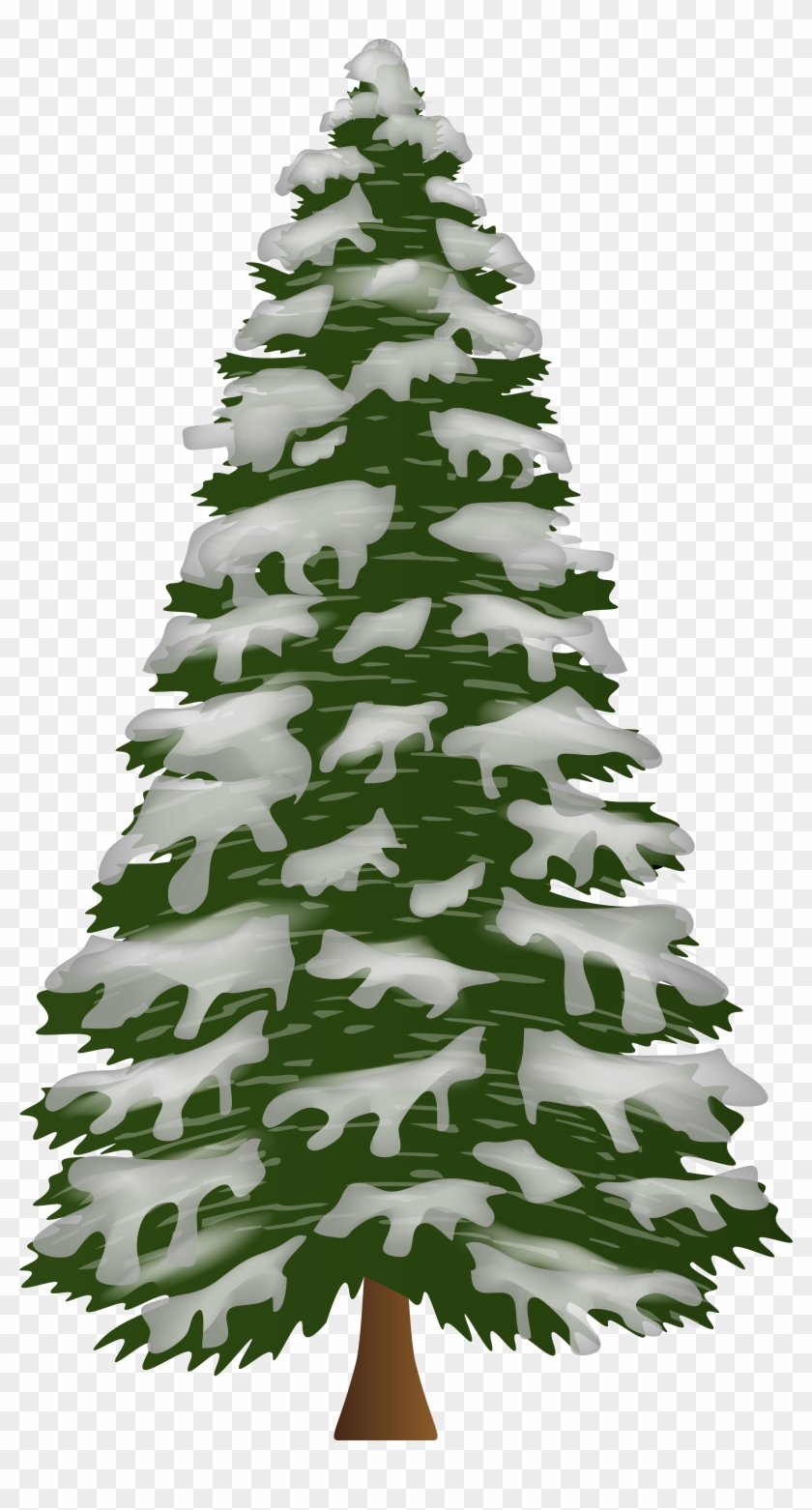 Pine Tree With Snow Png Clip Art Gallery Yopriceville Transparent Png