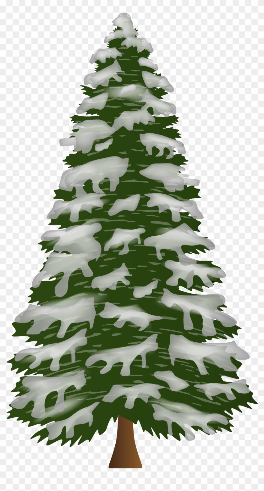 Pine Tree With Snow Png Clip Art Gallery Yopriceville Transparent Png #126166