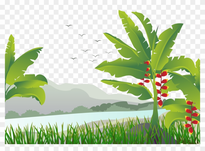 Banana Leaf Tree Illustration Clipart