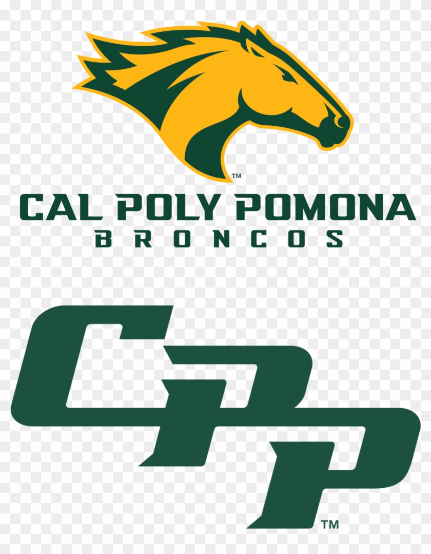 Cal Poly Pomona Broncos Clipart #126530