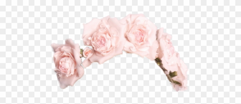 Monkey Flower Crown Emoji Background Flowers Healthy - Flower Crowns With Black Background Clipart