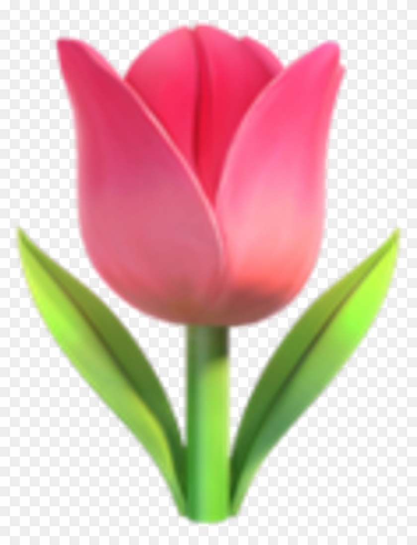 Flower Emoji Png - 🌷 Emoji Clipart #128028