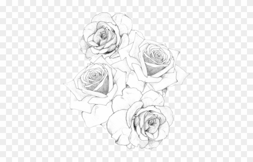 Rose Tattoo - - Plantillas Rosas Para Tatuajes Clipart