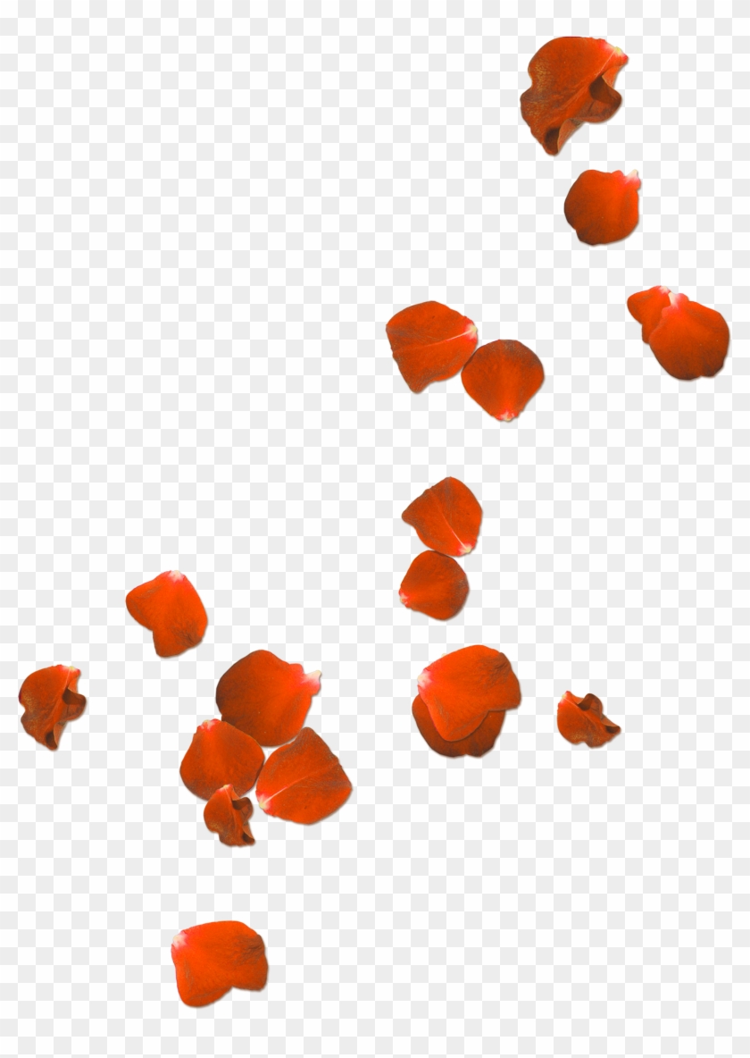 Flower Petals Clipart At Getdrawings - Rose Petals Transparent Background - Png Download #129622