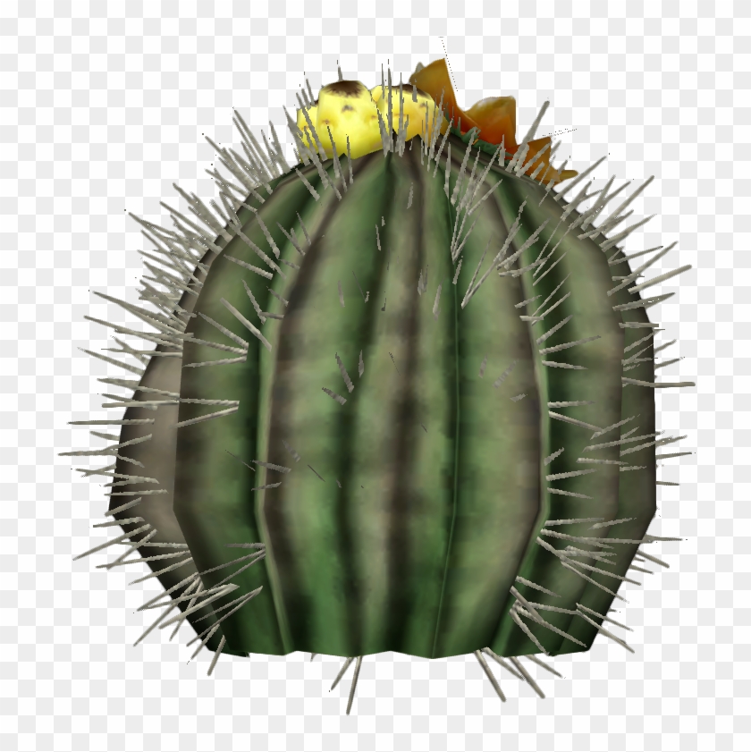 Image Barrel Cactus Plant Png Fallout Wiki - San Pedro Cactus Clipart #129768