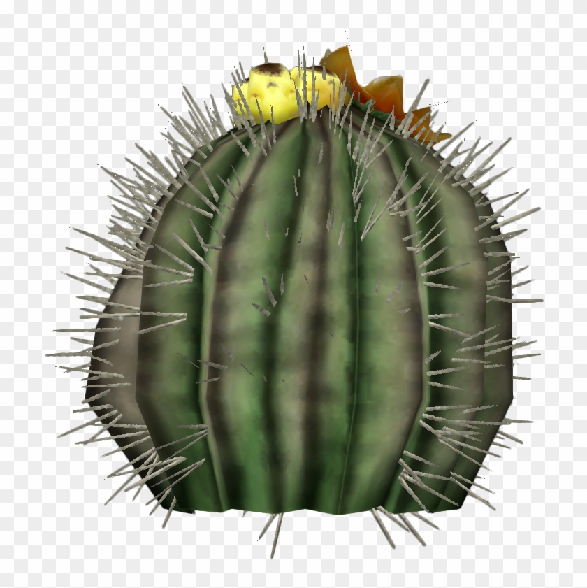Image Barrel Cactus Plant Png Fallout Wiki - San Pedro Cactus Clipart