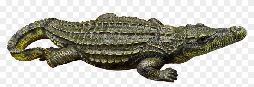 Crocodile, Metal Figure, Art Figure, Horticulture - American Crocodile Clipart