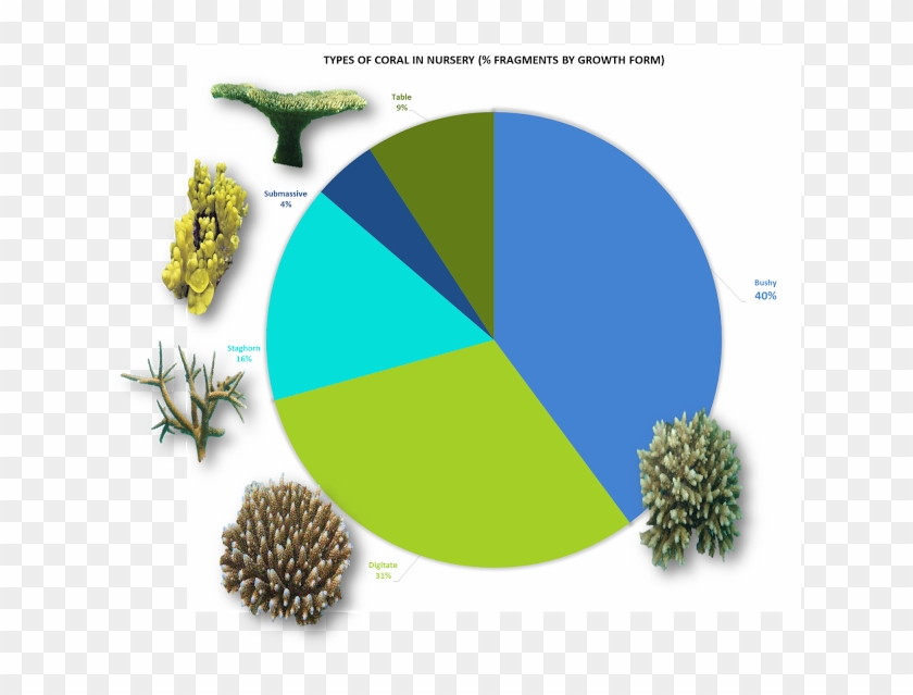 Graphic Design Clipart