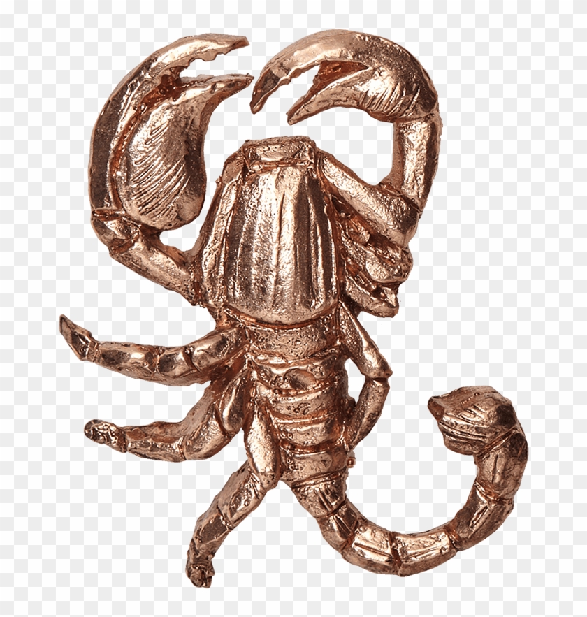 Fw18 - Scorpion Clipart #1201535