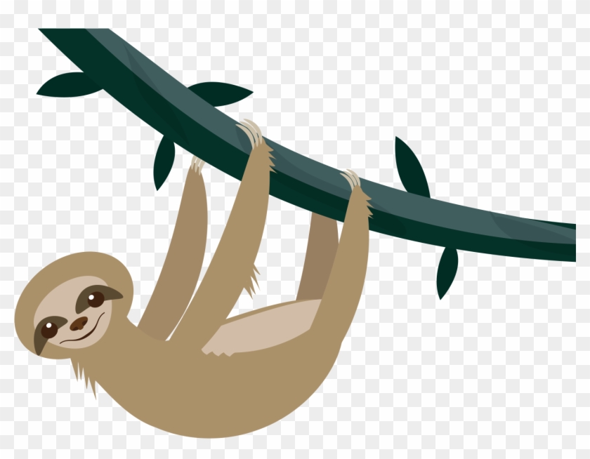 Sloth Png - Illustration Clipart #1203283