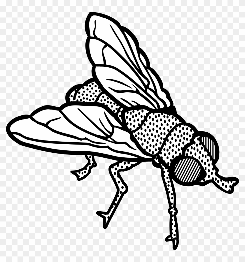 Fly Clipart Transparent - Fly Clip Art Black And White - Png Download #1203605