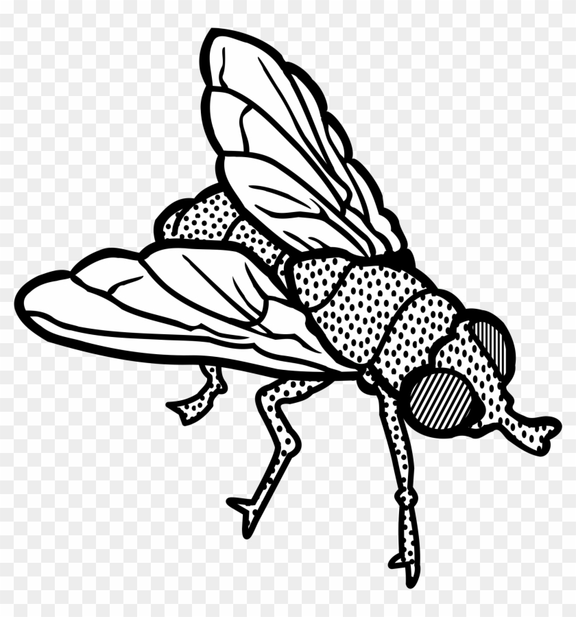Fly Clipart Transparent - Fly Clip Art Black And White - Png Download