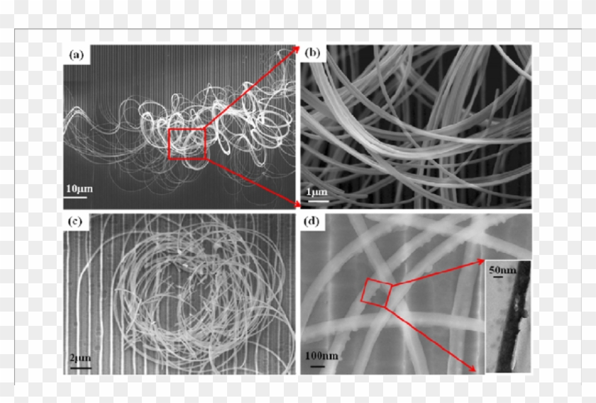 Sem Images (b) Of Sige Stripes Etched From Soi Substrate - Networking Cables Clipart