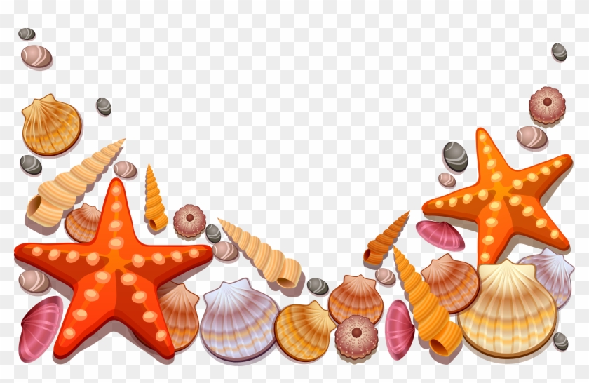 Seashell Border Png Free - Sea Shells Vector Png Clipart