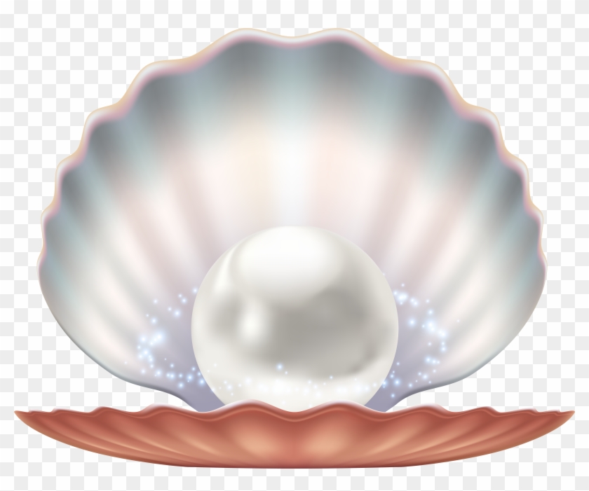 Seashell Png Clipart #1205305