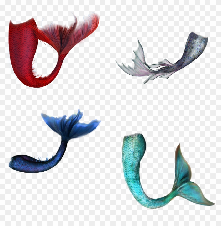 Mermaidtail Sticker - Mermaid Tail Art Clipart