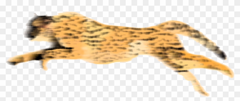 Cheetah Running Png - Animated Cheetah Gif Png Clipart #1207095