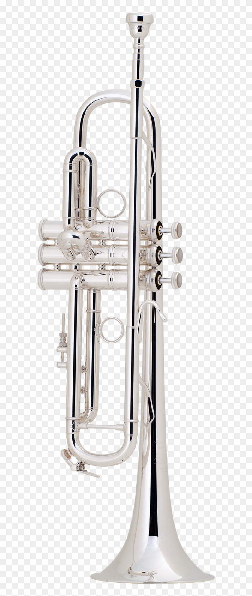 Lt180s77 Trumpet - Trumpet Clipart #1207342