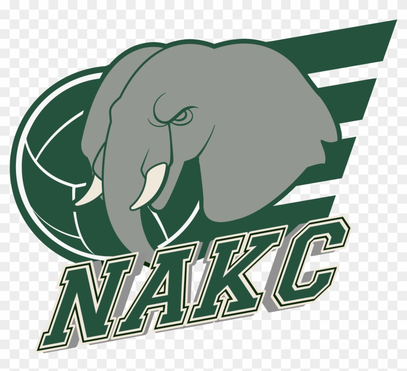 Nakc Sans Fond Vert - Graphic Design Clipart #1208217