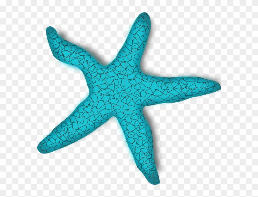600 X 563 1 - Starfish Clip Art - Png Download #1208794