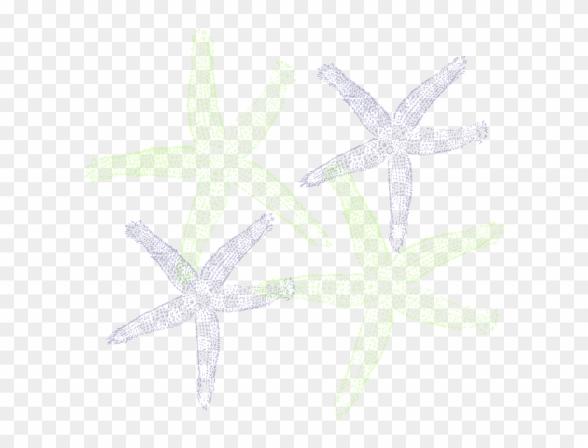 Starfish Prints Png Clipart