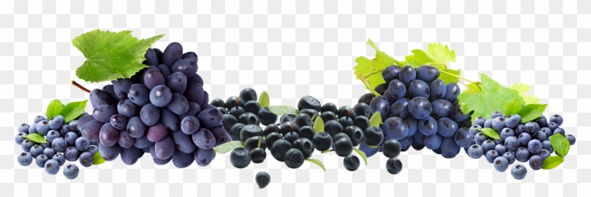 Free Grapes Png - Blueberry Clipart #1210059