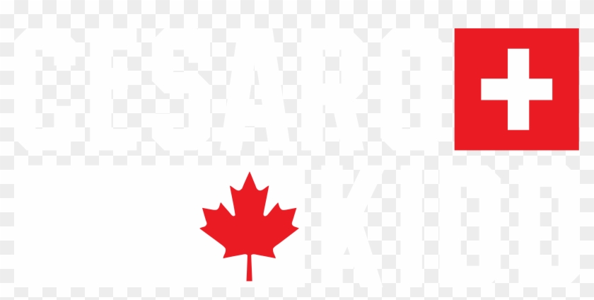 Tyson Kidd And Cesaro Logo - Canada Flag Clipart