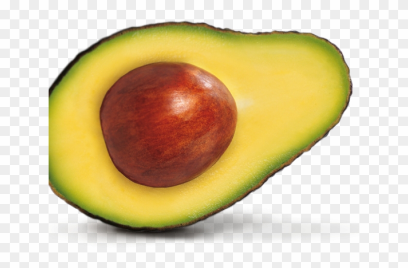 Avocado Clipart One - Avocado Png Transparent Png #1211040