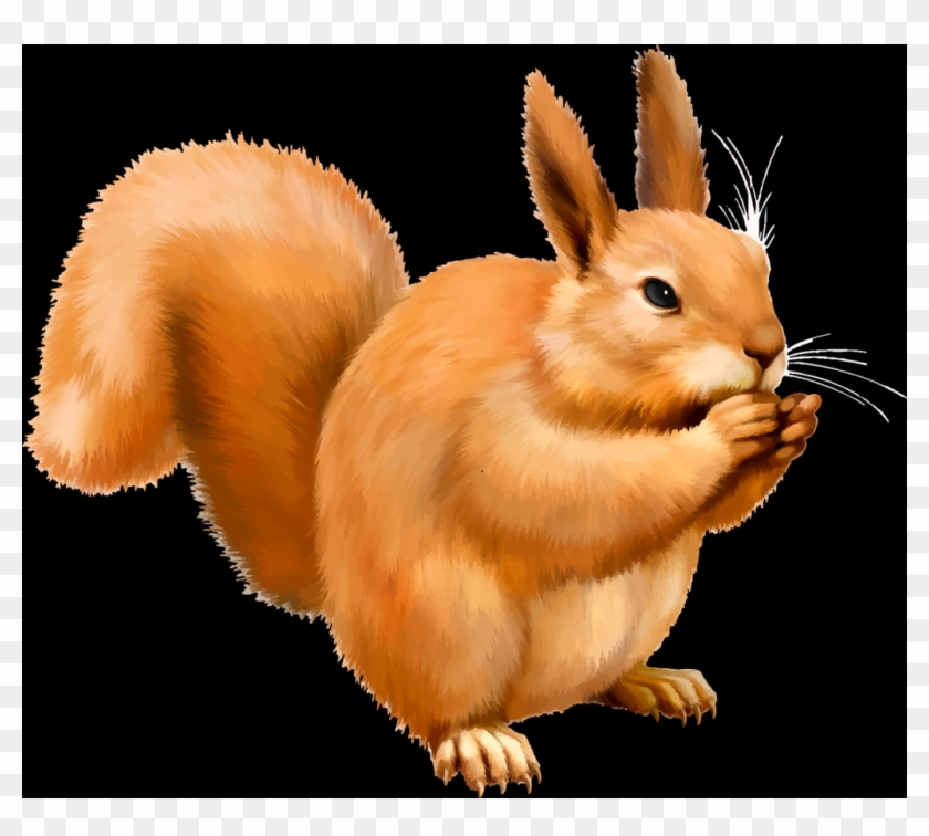 Eurasian Red Squirrel Clipart #1212340
