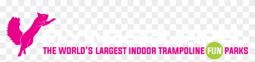 Book Party - Trampoline Park Flying Squirrel Logo Clipart